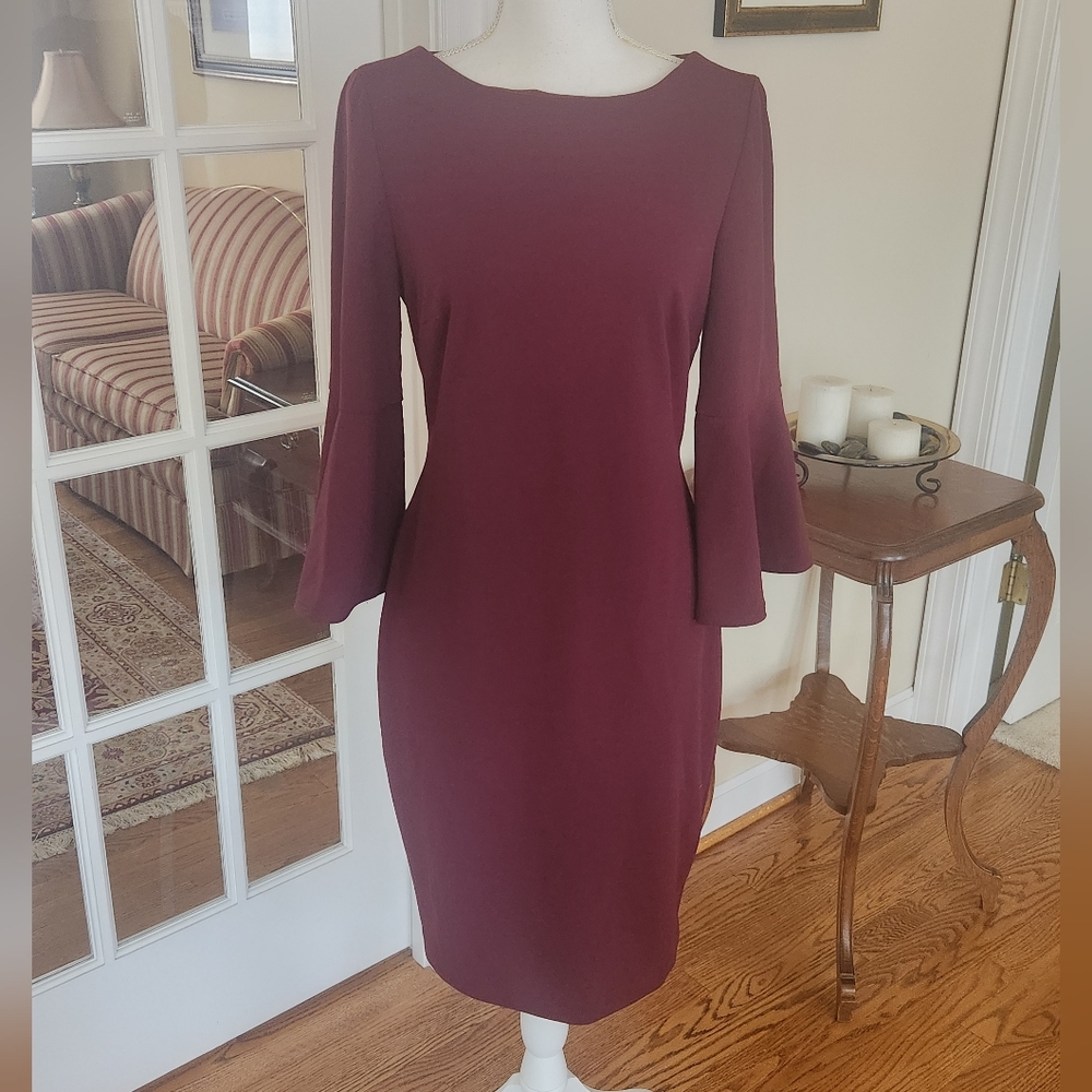 Calvin Klein Elegant Burgundy Women's Dress 8